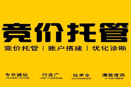 如何在激烈竞争中脱颖而出：sem竞价广告案例解析